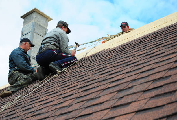 Best Metal Roofing Contractor  in Fort Ashby, WV